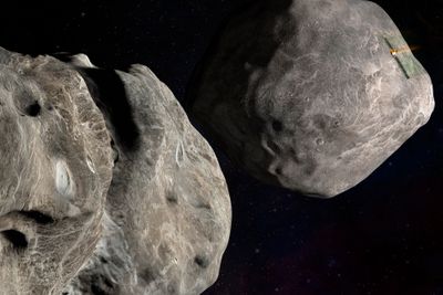 Om en asteroide mot alle odds treffer jordas atmosfære og ikke brenner opp på veien, kan den forårsake store ødeleggelser, på størrelse med ... 
Et treff fra kjempestor asteroide ville utryddet alt liv på jorda. I jordas tidlige barndom forekom noen kjempetreff. Illustrasjon: NASA / N... 
Om nødvendig kan asteroiders bane fysisk påvirkes av mennesker, for å unngå at de treffer jorda. I 2022 testet NASA sin romsonde DART. Den kolliderte med asteroiden Dimorphos (t v) som ble avbøyd merkbart i sin bane med månen Didymos (t h)