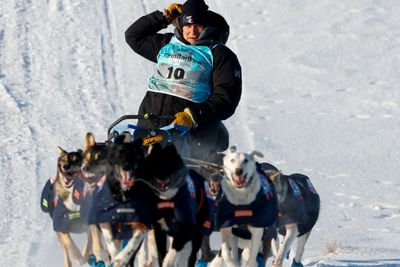 VM i hundekjøring på Røros er rammet av et massivt dataangrep.