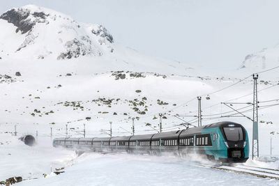 I januar ble Bergensbanen stengt etter at et snøras raste inn i og ødela et rasoverbygg mellom Hallingskeid og Myrdal.