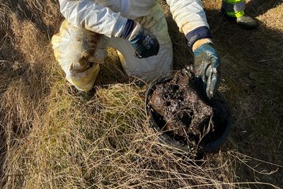 I februar ble det funnet olje på land, i form av klumper av varierende størrelse, langs trøndelagskysten. Oljen kommer fra utslippet fra Njord. 