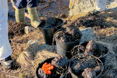 Nye beregninger viser at 20.000 liter kan ha nådd land, ifølge Equinor. Så langt er 5000 liter samlet inn. 