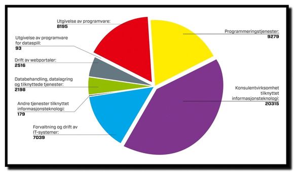 Diagrammet viser fordelingen av antall it-ansatte på ulike kategorier i næringen. Kilde: Rapporten