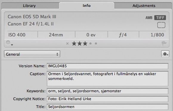 Metadata: Et godt bildeprogram lar deg se kamerainnstillingene, og redigere søkbare bildetekster som hjelper deg å finne tilbake til bildene senere.