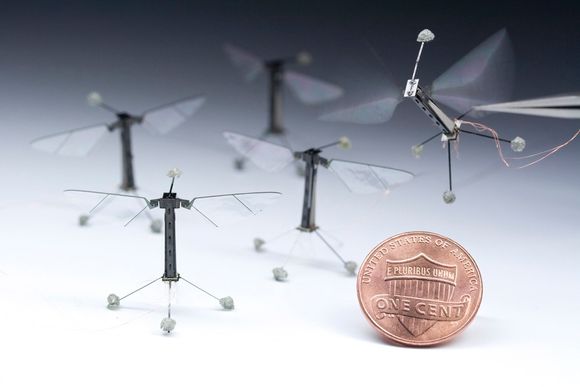 Robert J. Wood var student på universitetet da han satte seg som mål å lage en flygende robot etter modell fra insektverden. Fluer og bier er noen av naturens sprekeste luftakrobater, og det er populært blant forskere å hente ideer med inspirasjon fra naturens velutviklede mekanismer.