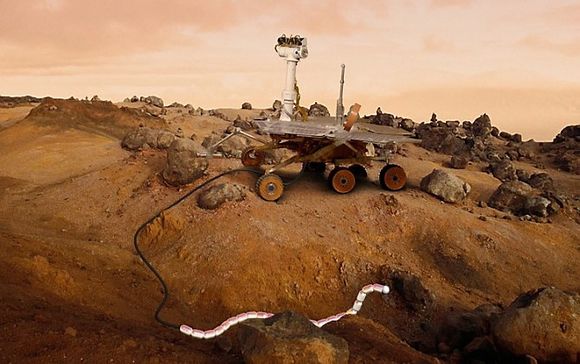 ESA vil utrede mulighetene for å kombinere rover med en slangerobot som kan krype på bakken og nå fram til utilgjengelige steder.