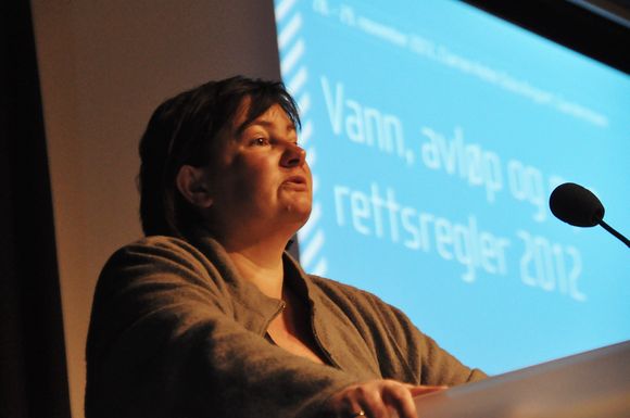 VIL HA VANN PÅ DAGSORDEN: Statssekretær i Miljøverndepartemenetet, Henriette Killi Westhrin, sier at Norge trenger en overvannsmyndighet.