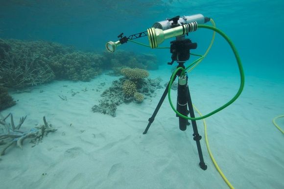 Fra testing av optisk sensor på Great Barrier Reef i Australia i januar 2011. Foto: Geir Johnsen
