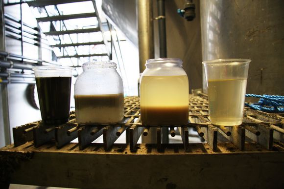 BEHANDLET VANN: Til venstre er det svarte prosessvannet som kommer inn i bioanlegget. Ifølge Nordisk Vannteknikk holder det rundt 6000 mg/liter totalt organisk karbon (TOC). I neste trinn er noe av oljen borte, men det er slam i vannet. I neste trinn igjen er slammet felt ut på bunnen. Til høyre vannet som slippes ut, med et innhold på under 150 mg/liter TOC.