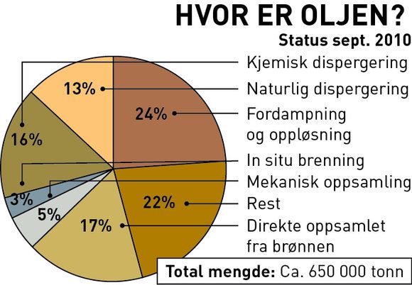 REDDET: Mange sjøfugl som var tilgriset av olje ble fanget og vasket før de ble sluppet ut igjen.