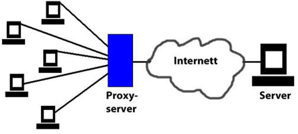 Proxyservere kan i teorien gi vanlige pc-brukere en anonym tilgang til blant annet nettsteder, men det skjer ikke uten risiko.