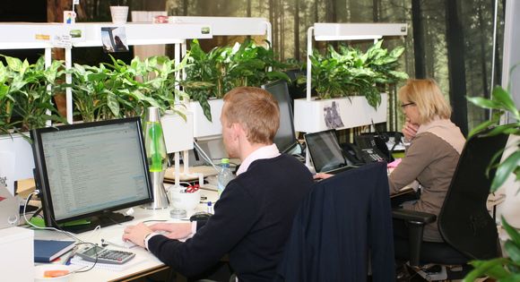 Naturlig lys og planter gjør sitt til at de ansatte føler seg ekstra opplagte. <i>Bilde: Marius Jørgenrud</i>