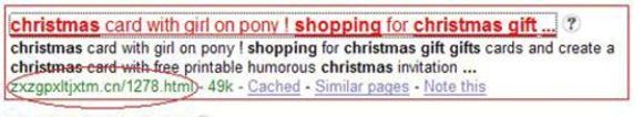 Kriminelle vet å utnytte søk etter julegaver, som her i et eksempel fra Google i fjor. Legg merke til det åpenbart tvilsomme nettadressen.