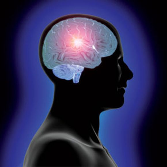 En nordisk undersøkelse konstaterer at hjernesvulst ikke er blitt mer hyppig siden 1998, trass i kraftig økt bruk av mobiltelefon i alle lag av befolkningen. <i>Bilde: University of Calilfornia, Davis</i>