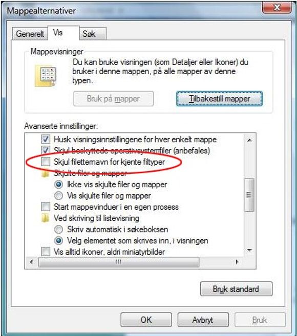 Du bør få Windows til å vise etternavnet til alle filer. Illustrasjonen viser hvordan det gjøres i Windows Vista, men det hele ser ganske likt ut også i andre Windows-utgaver.