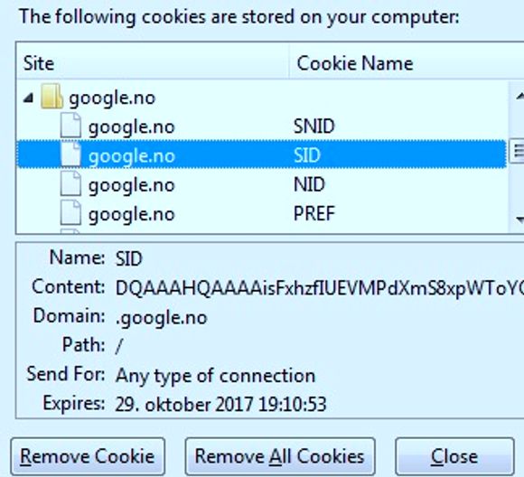 Informasjonskapsel (cookie) fra Google.no