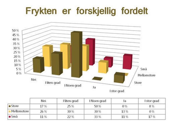 Diagram som viser i hvor stor grad lederne for norske IT-bedrifter frykter høsten 2009. Illustrasjon: Madigan.