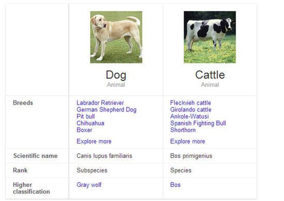 Det er nå mulig å få Google til å vise en grov sammenligning av for eksempel ulike husdyrarter. <i>Bilde: digi.no</i>