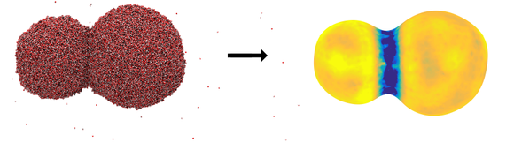 Figur 2 Et bilde av to vanndråper som slår seg sammen. Bildet til venstre viser et øyeblikksbilde fra en molekyldynamikk-simulering, hvor de små dottene representerer vannmolekyler. Bildet til høyre illustrerer overflatemotstanden for varmeovergang, hvor en mørkere farge betyr at mostanden er høy. Det er vanskeligst å transportere varme ut og inn av området akkurat der hvor dråpene smelter sammen. Illustrasjon:. <i>Foto: Øivind Wilhelmsen, SINTEF Energi</i>
