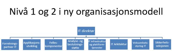 Ny organisasjonsmodell i Nav IT. <i>Foto: Nav</i>