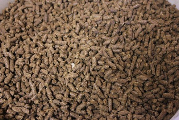 Brukt malt gjøres om til pellets, som lagres og kvernes til et fint pulver, som brennes på 900 grader.