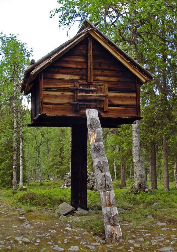 En variant av den samiske njalla. Trygg for rovdyr. <i>Foto: Skugsfrun, Wikimedia Commons</i>