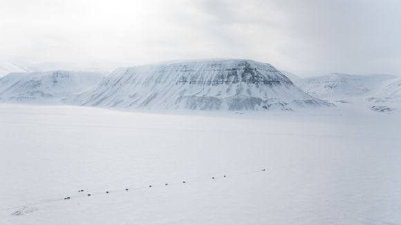 Økt turisme stiller høyere krav til beredskapen på Svalbard. Selv mindre ulykker kan utløse store redningsressurser. Her ser vi et snøscooterfølge på vei over fjorden.  <i>Foto: Eirik Helland Urke</i>