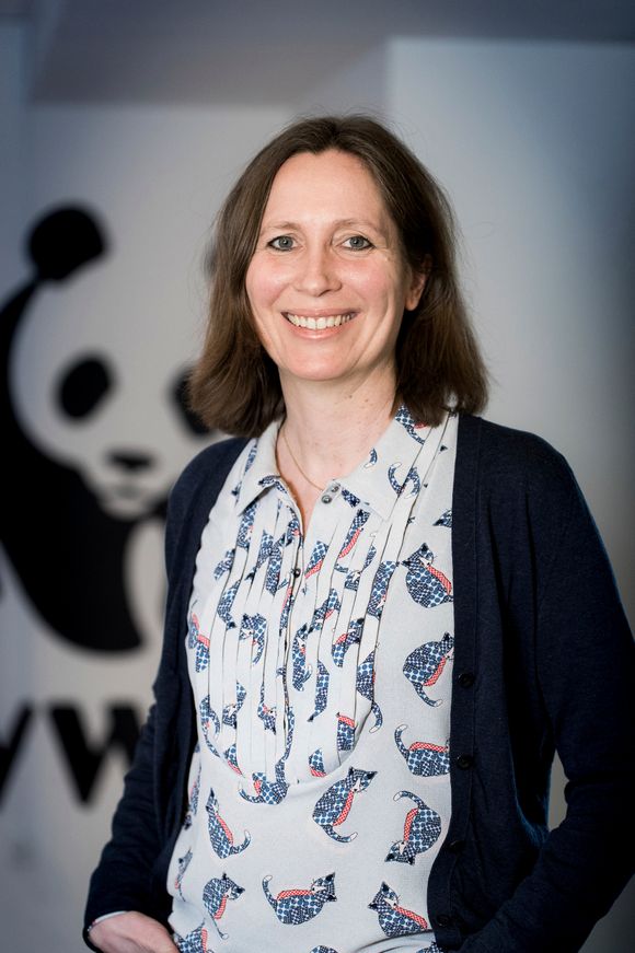 <p class="p1">Hanne Jersild er seniorrådgiver innen klima i WWF Verdens naturfond. Hun har fulgt utviklingen i Europa i mange år, og legger merke til de nye meldingene fra de europeiske strømselskapene.</p> <i>Bilde:  Jesper Edvardsen - CONTINEO</i>
