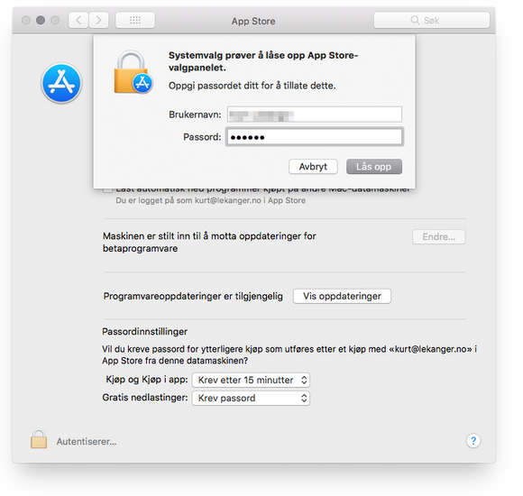 Opplåsing av App Store-valgpanelet i MacOS High Sierra kan i noen tilfeller gjøres med ethvert passord. <i>Skjermbilde: digi.no</i>