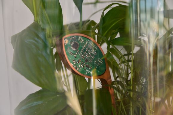 Kontrollere styrer sensorer som merker om man tar på planten. Det gjør at lampen slår seg på. <i>Foto:   Living Light</i>