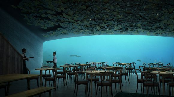 Fisk til middag? På Under er du nedsenket i verdens største akvarium. <i>Illustrasjon:  Mir og Snøhetta</i>