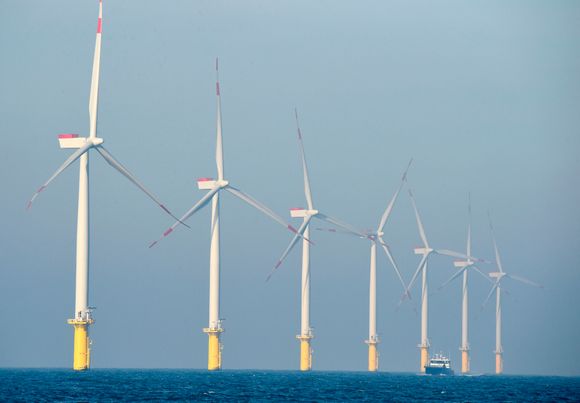 Norske bedrifter sliter med å få kontrakter i utenlandske havvindprosjekter, viser ny rapport. Bildet er fra vindparken Amrumbank West utenfor Helgoland i Tyskland. <i>Foto:  TOBIAS SCHWARZ</i>