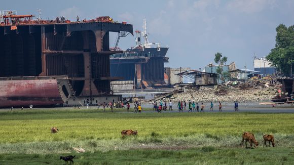Beaching: Bildet viser opphogging av store havgående skip på stranden i Chittagong i Bangladesh i 2017. I 2018 ble 185 store skip hogd opp på strendene i landet. <i>Foto:  Reinhard Fasching</i>