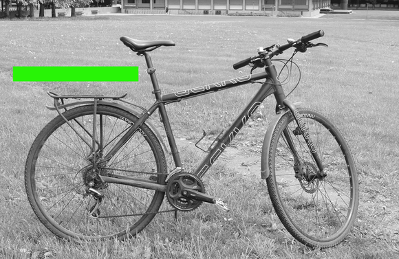 Ser den kunstige intelligensen «sykkel» eller «grønn strek» i dette bildet? Det er det faktisk ikke godt å si. <i>Foto:  Eivind Torgersen/UiO. Lisens</i>