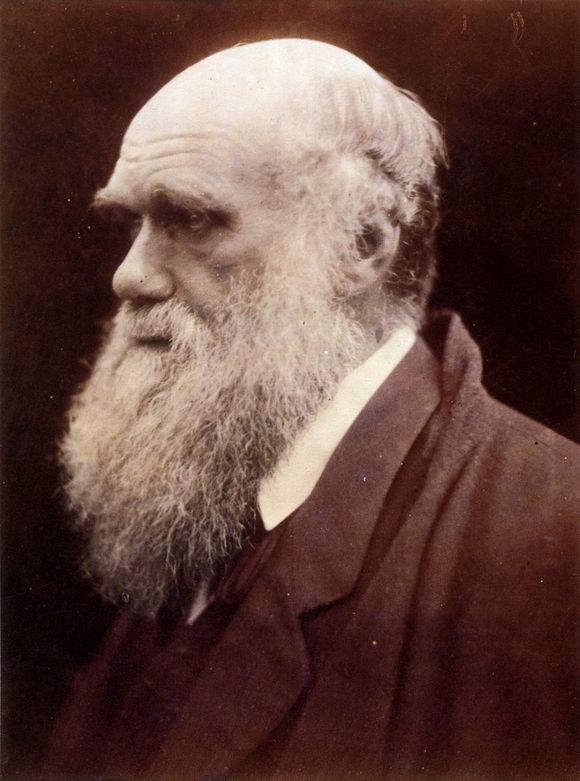 Charles Darwin <i>Foto:  Julia Margaret Cameron</i>