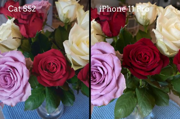 Cat S52 tar ganske gode bilder, selv om bildene tatt med den dyrere toppmodellen iPhone 11 Pro til høyre blir en del skarpere og mer detaljerte.
