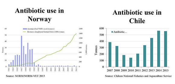 Til venstre ser vi at medan antibiotikabruken i Noreg har vore låg heilt frå starten av 90-talet, går utviklinga i Chile i ei anna og uynskt retning. Kjelder: NORM/NORM-VET 2013 og Chilean National Fisheries and Aquaculture Service. <i>Foto: Titan.uio.no</i>