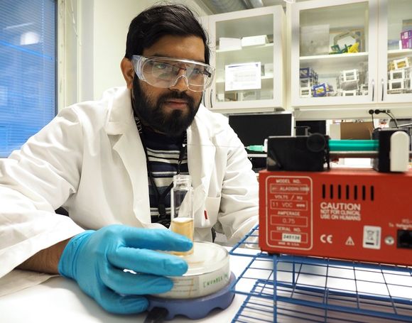 Sulalit Bandyopadhyay jobber med å lage kunstig sand med DNA. Den kan brukes for å spore vannstrømmer, noe som er nyttig ved forurensning, når noe går tett og i flere andre situasjoner. <i>Foto:  Per Henning, NTNU</i>