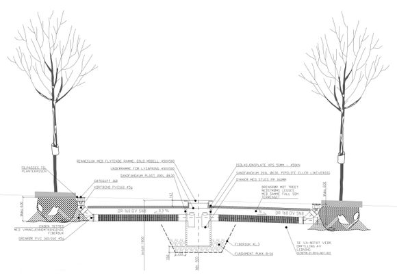 Slik planlegges trærnes plassering som en integrert del av overvannsystemet i Oslo-gatene <i>Illustrasjon:  Multiconsult</i>