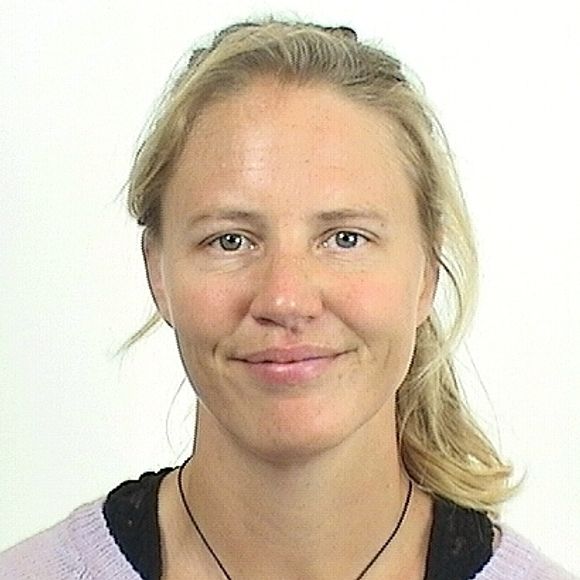 Birgit Ryningen, Sintef