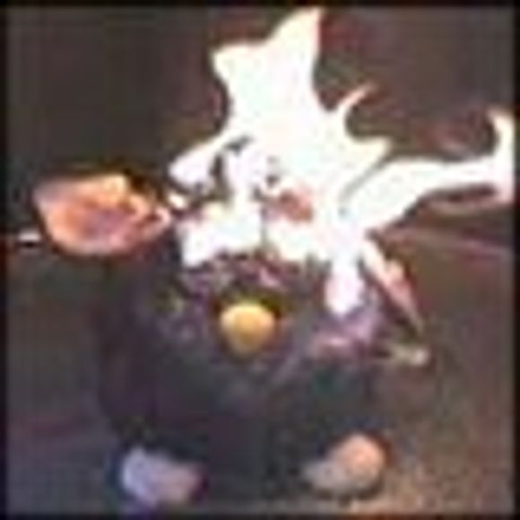 Furby brenner etter kontakt med 20.000 volt. Ikke spesielt hyggelig, nei. <i>Foto:  VoltNet.com</i>
