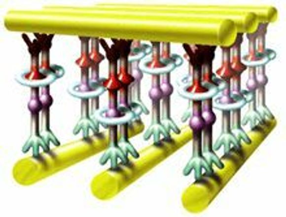 Nanobrikke med kryssende ledninger.