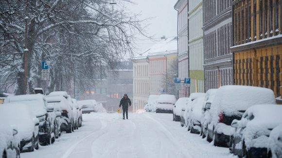 Snøfall i Oslo torsdag morgen. <i>Foto:  Fredrik Varfjell/NTB</i>