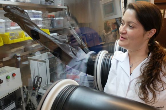 Carmen Cavallo og kollegaene hennes jobber ved den første lab'en i Norge der man prøver å lage kalsiumbatterier. <i>Foto:   Eivind Torgersen/UiO</i>