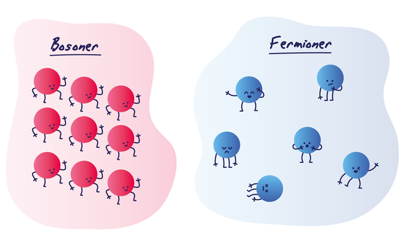 De røde bosonene oppfører seg gjerne kollektivistisk og på samme energinivå, mens de blå fermionene holder seg på avstand av hverandre og har ulik energi. <i>Illustrasjon:  Maria Hammerstrøm</i>