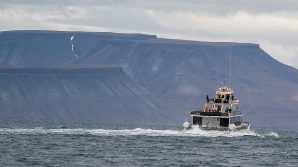 Hybridskipet Bard seiler på Svalbard til utgangen av oktober, før den seiler inn til Tromsø og turer fra fastlandet. <i>Foto:  Eirik Helland Urke</i>