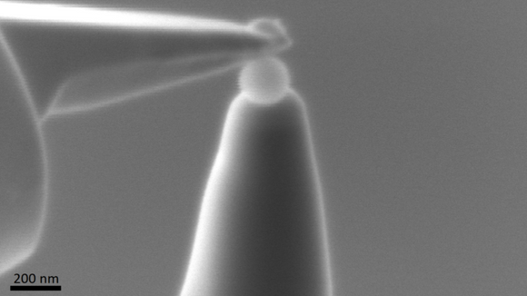To the point: Her brukes en liten nål til å plukke opp en nanoplast-kule som et ledd i forberedelsen for analyse med atomsondetomografi. Bildet er tatt med et elektronmikroskop ved NTNU Nanolab.