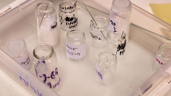 Reagensrørene inneholder ulike blandinger av litium, mangan, nikkel og oksygen. Halvor Høen Hval sjekker hvilken blanding som fungerer best. <i>Foto:  Yngve Vogt, Apollon</i>