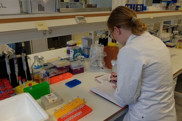 IGEM-student Hege Hovland gjør seg klar til en ny økt på laboratoriet. <i>Foto:   Eivind Torgersen/UiO</i>