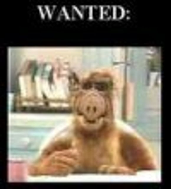 TV-figuren Alf dukket opp på SETI@Home sin hackede hjemmeside. <i>Skjermbilde:  Digi.no</i>