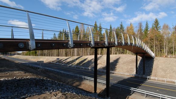 Søndre Tverrvei mellom Ås og Ski har i dag to slike trebruer. Nå skal Ås kommune bygge en til. <i>Foto:  Jarle Skoglund</i>